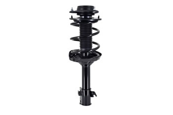 Suspension Strut and Coil Spring Assembly