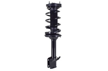 Suspension Strut and Coil Spring Assembly