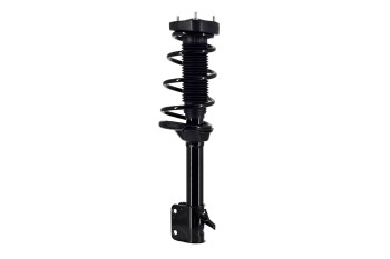 Suspension Strut and Coil Spring Assembly