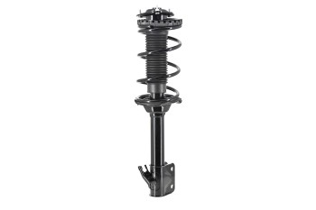 Suspension Strut and Coil Spring Assembly