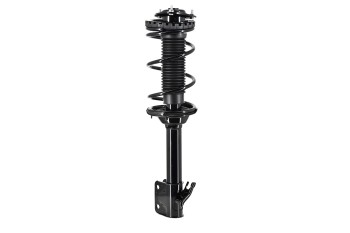 Suspension Strut and Coil Spring Assembly