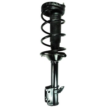 Suspension Strut and Coil Spring Assembly