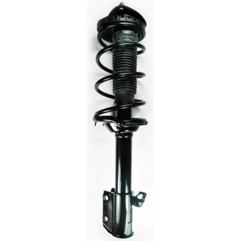 Suspension Strut and Coil Spring Assembly