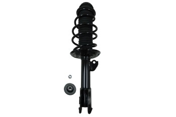 Suspension Strut and Coil Spring Assembly