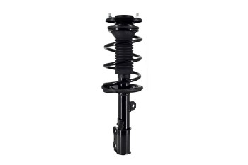Suspension Strut and Coil Spring Assembly