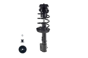 Suspension Strut and Coil Spring Assembly