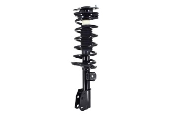 Suspension Strut and Coil Spring Assembly