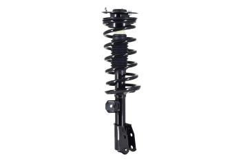 Suspension Strut and Coil Spring Assembly
