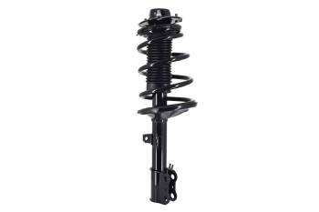 Suspension Strut and Coil Spring Assembly
