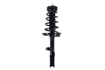 Suspension Strut and Coil Spring Assembly
