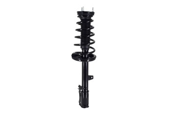Suspension Strut and Coil Spring Assembly