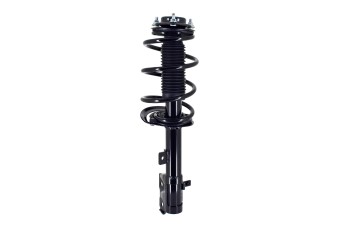 Suspension Strut and Coil Spring Assembly