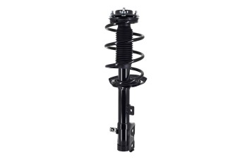 Suspension Strut and Coil Spring Assembly