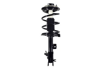 Suspension Strut and Coil Spring Assembly