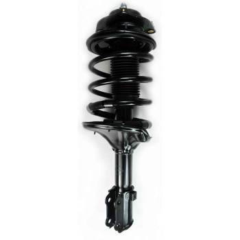 Suspension Strut and Coil Spring Assembly