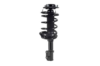 Suspension Strut and Coil Spring Assembly