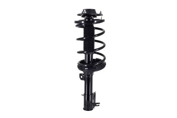 Suspension Strut and Coil Spring Assembly