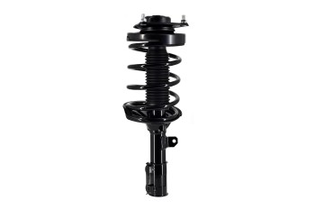 Suspension Strut and Coil Spring Assembly
