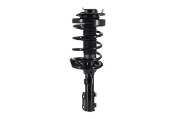 Suspension Strut and Coil Spring Assembly