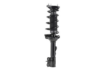 Suspension Strut and Coil Spring Assembly