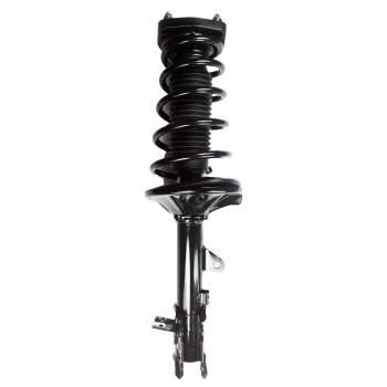 Suspension Strut and Coil Spring Assembly
