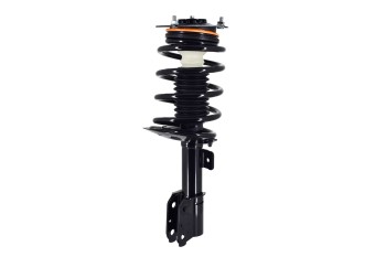 Suspension Strut and Coil Spring Assembly