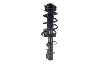 Suspension Strut and Coil Spring Assembly