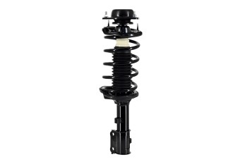 Suspension Strut and Coil Spring Assembly