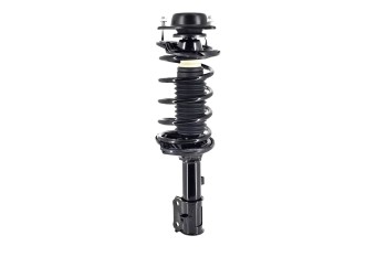 Suspension Strut and Coil Spring Assembly