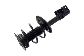 Suspension Strut and Coil Spring Assembly