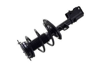 Suspension Strut and Coil Spring Assembly