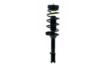 Suspension Strut and Coil Spring Assembly