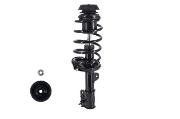 Suspension Strut and Coil Spring Assembly