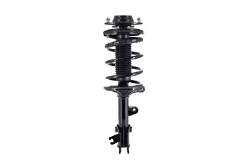 Suspension Strut and Coil Spring Assembly