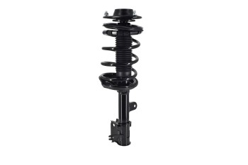 Suspension Strut and Coil Spring Assembly