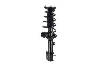 Suspension Strut and Coil Spring Assembly