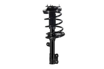 Suspension Strut and Coil Spring Assembly