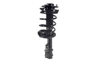 Suspension Strut and Coil Spring Assembly