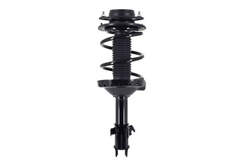 Suspension Strut and Coil Spring Assembly