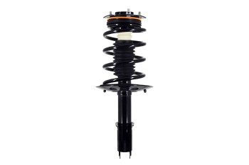 Suspension Strut and Coil Spring Assembly