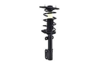 Suspension Strut and Coil Spring Assembly