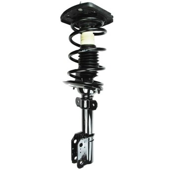 Suspension Strut and Coil Spring Assembly