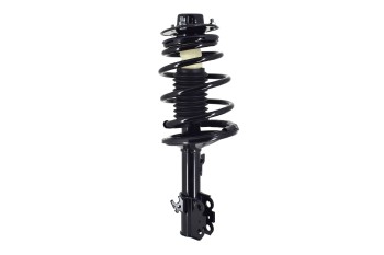 Suspension Strut and Coil Spring Assembly