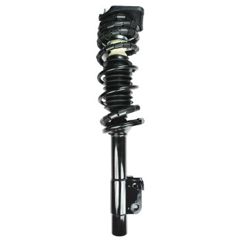Suspension Strut and Coil Spring Assembly