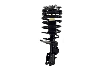 Suspension Strut and Coil Spring Assembly