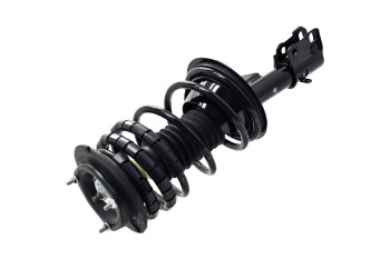Suspension Strut and Coil Spring Assembly