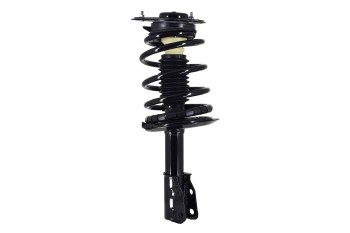 Suspension Strut and Coil Spring Assembly