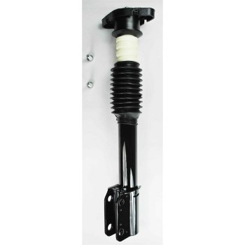 Suspension Strut and Coil Spring Assembly