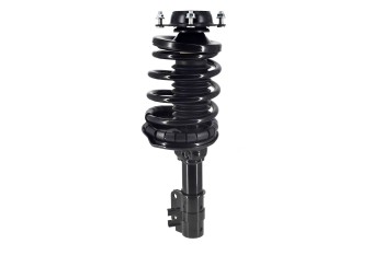 Suspension Strut and Coil Spring Assembly