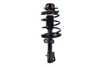 Suspension Strut and Coil Spring Assembly